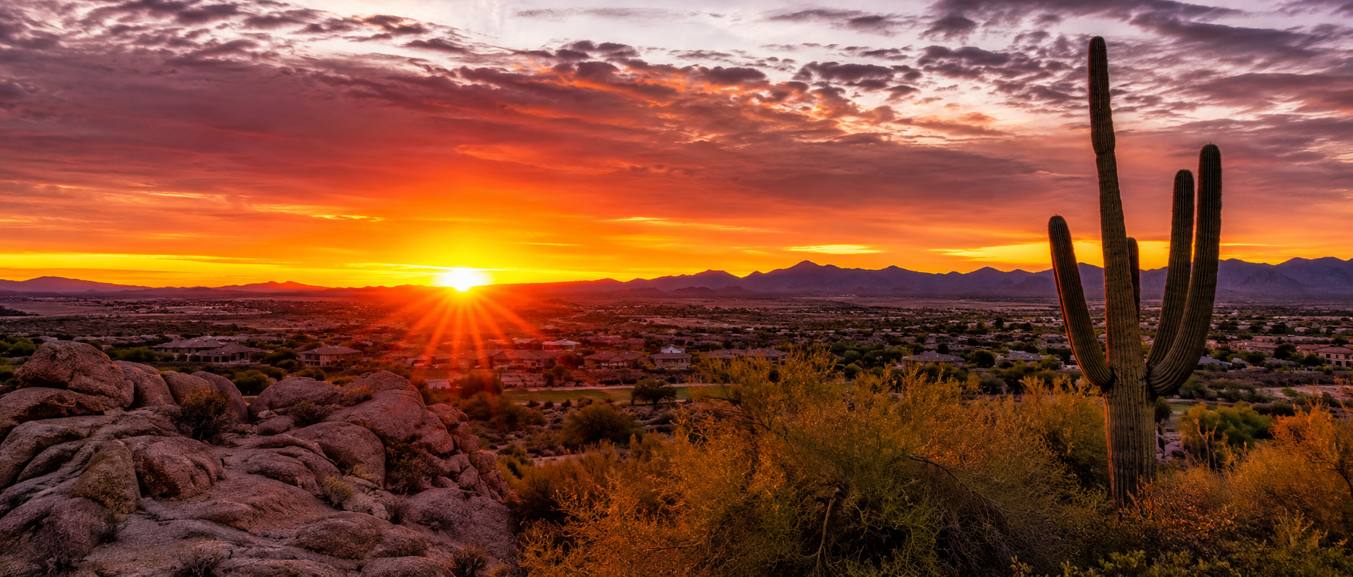 Scottsdale desert sunset